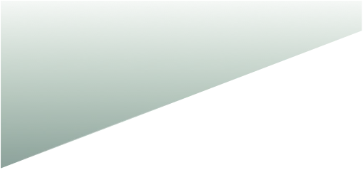 Rectangle 41217