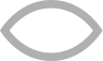 Vector